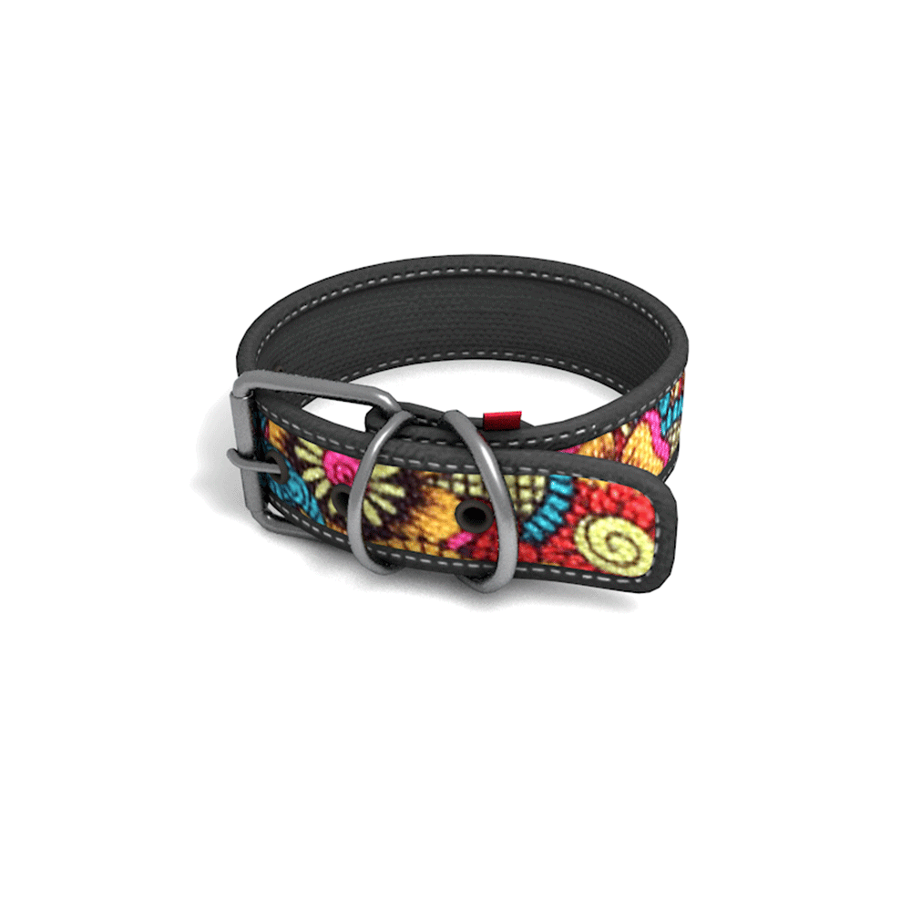 Collar Perro Cool Can Collar Perro Cool Can